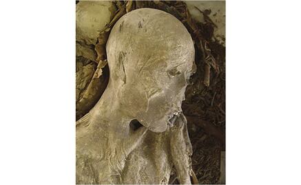 Incendio en el Museo Nacional de Brasil destruyó piezas egipcias