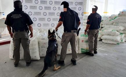 FGR asegura una tonelada de metanfetamina oculta en sacos de fertilizantes en Hermosillo