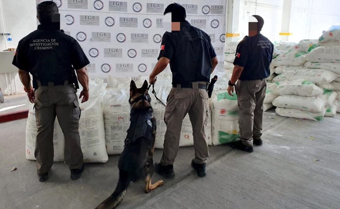 Foto: Cortesía / FGR