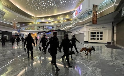 Fuerza de Tarea “Zorros” descarta bomba en centro comercial Perisur 