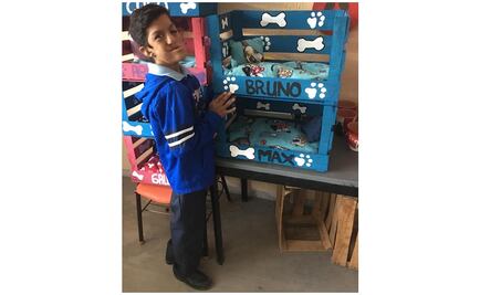 Elías, un joven con discapacidad que vende camitas para mascotas