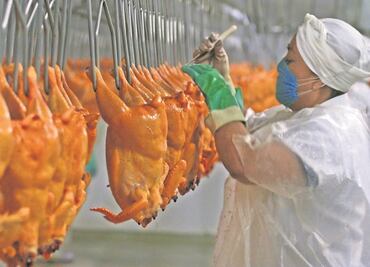 Prevén siga preferencia por el pollo hasta 2030