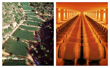 ¿Qué es un vino kosher?