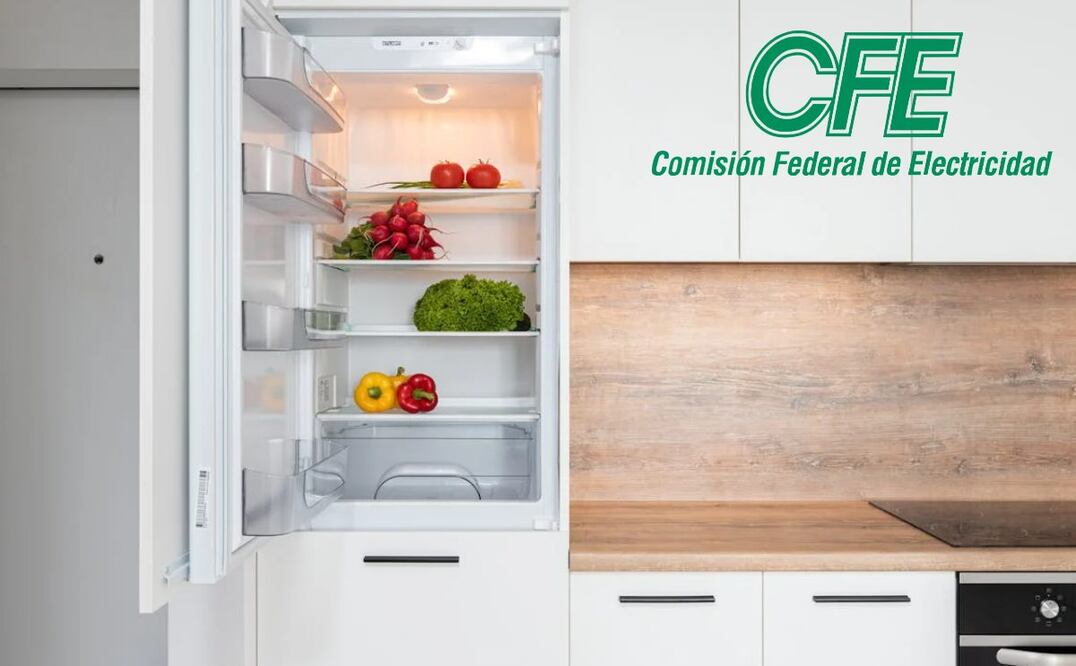 Quiénes pueden obtener electrodomésticos con el programa de la CFE. Imagen: Unsplash