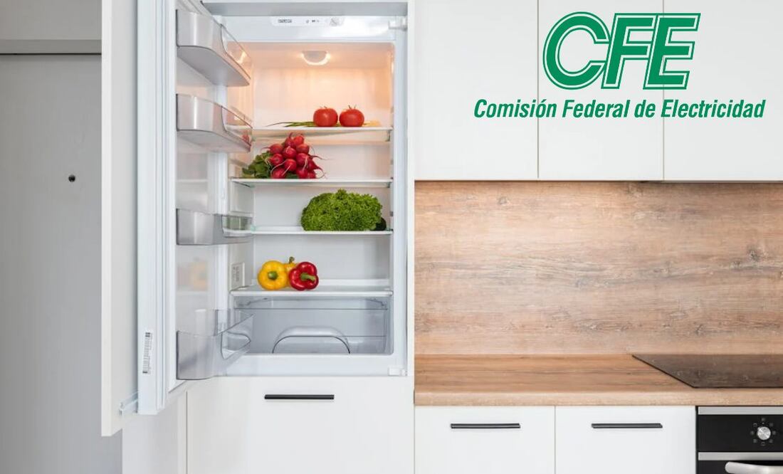 Quiénes pueden obtener electrodomésticos con el programa de la CFE. Imagen: Unsplash