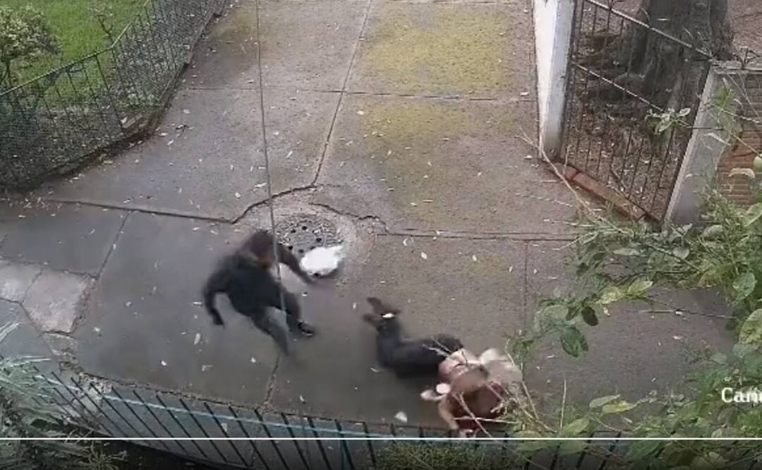 Foto: Captura de pantalla