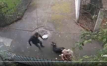 VIDEO: Captan a sujeto arrastrando a una mujer para robarle sus pertenencias en Tlalpan