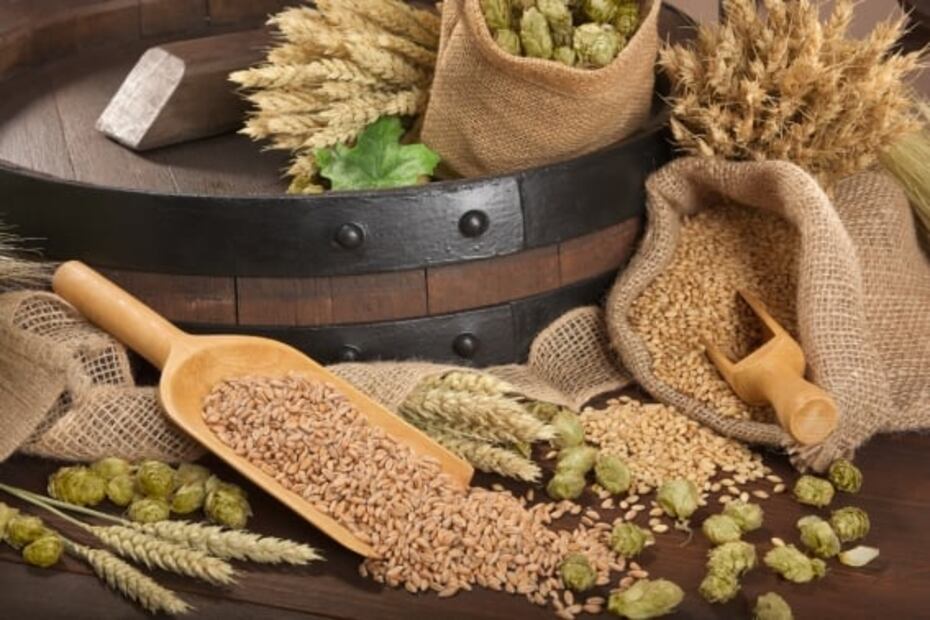 La panza chelera: ¿mito o realidad?