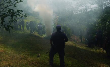 Destruyen tres plantíos de marihuana en Jalisco 