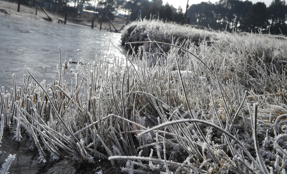 Foto: Archivo/El Universal