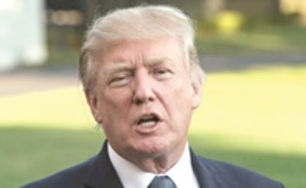 El Foco. Se cayó el sistema... de la Seduvi, constructoras, como "ojo de hormiga"