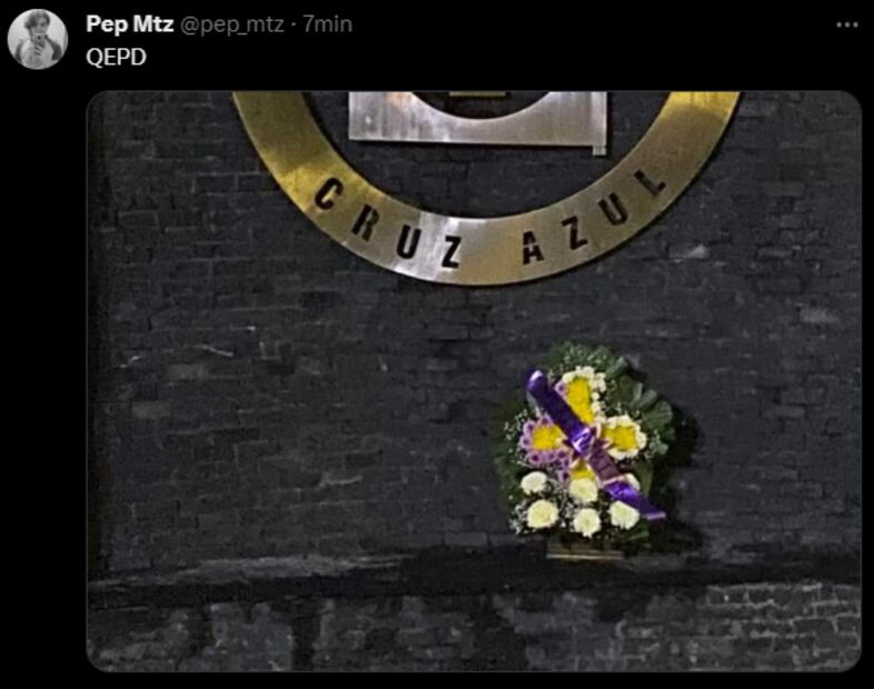 Los mejores memes de la derrota del Cruz Azul / Foto: Especiales