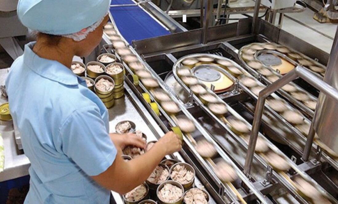 UNAM experts used PCR tests to confirm the presence of dolphin meat in Mexican canned tuna - Photo: File photo/EL UNIVERSAL