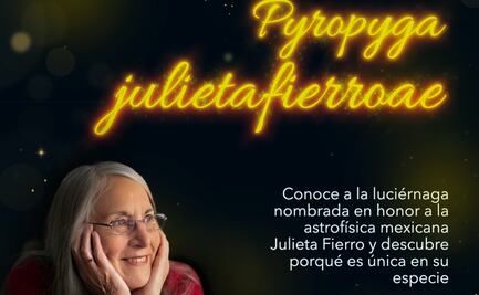 ¿Qué es la Pyropyga julietafierroae?: la luciérnaga que inmortaliza a Julieta Fierro en la ciencia mexicana