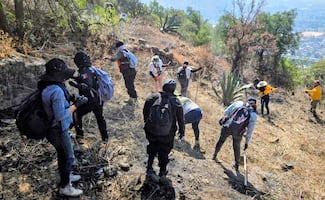 Realizan jornada de búsqueda en Cerro del Chiquihuite; participan familias, colectivos y autoridades capitalinas