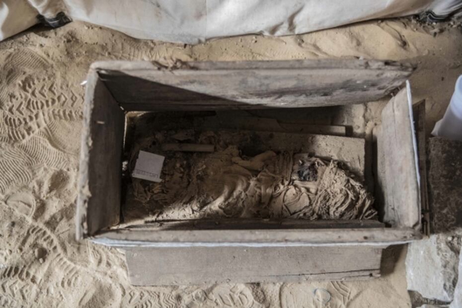 Egipto desvela "tesoros" de 3 mil años del sitio arqueológico de Saqqara