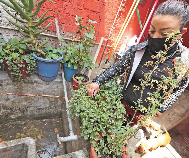 Habitantes de las colonias La Teresona y Nueva Oxtotitlán, en Toluca, acusan que llevan casi un mes sin agua potable en las tuberías de sus hogares. JORGE ALVARADO. EL UNIVERSAL 