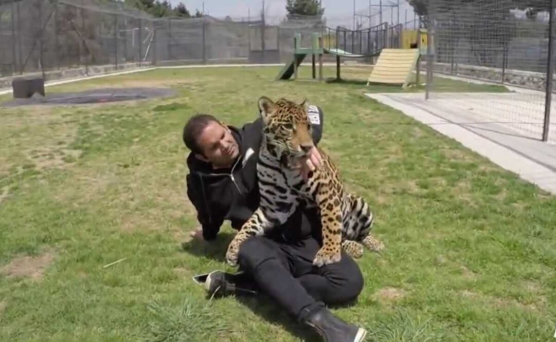 Eduardo Mauricio Moisés Serio, fundador del santuario Black Jaguar-White Tiger. Foto: captura de video