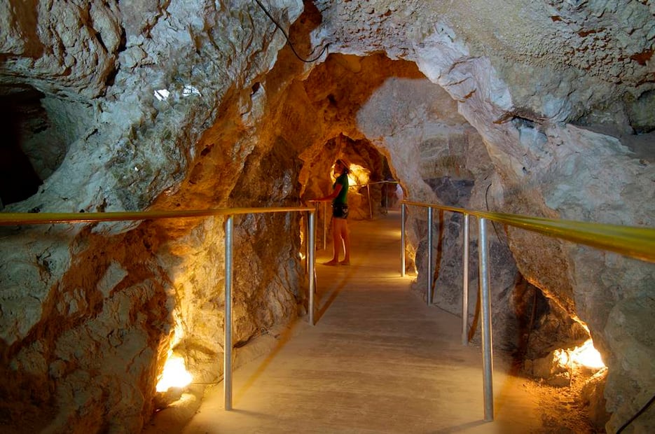 Foto: Fidetur ¡Ah Chihuahua!