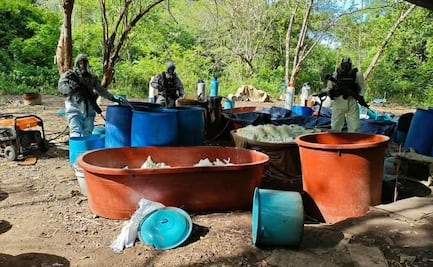 Desmantelan 4 laboratorios clandestinos en Michoacán y Guerrero; en operativo, delincuentes agreden a elementos