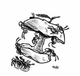 AMLO da bienvenida a hombres de buena voluntad. ¿Como Barbosa? 