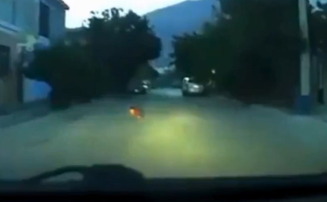 Foto: captura de pantalla