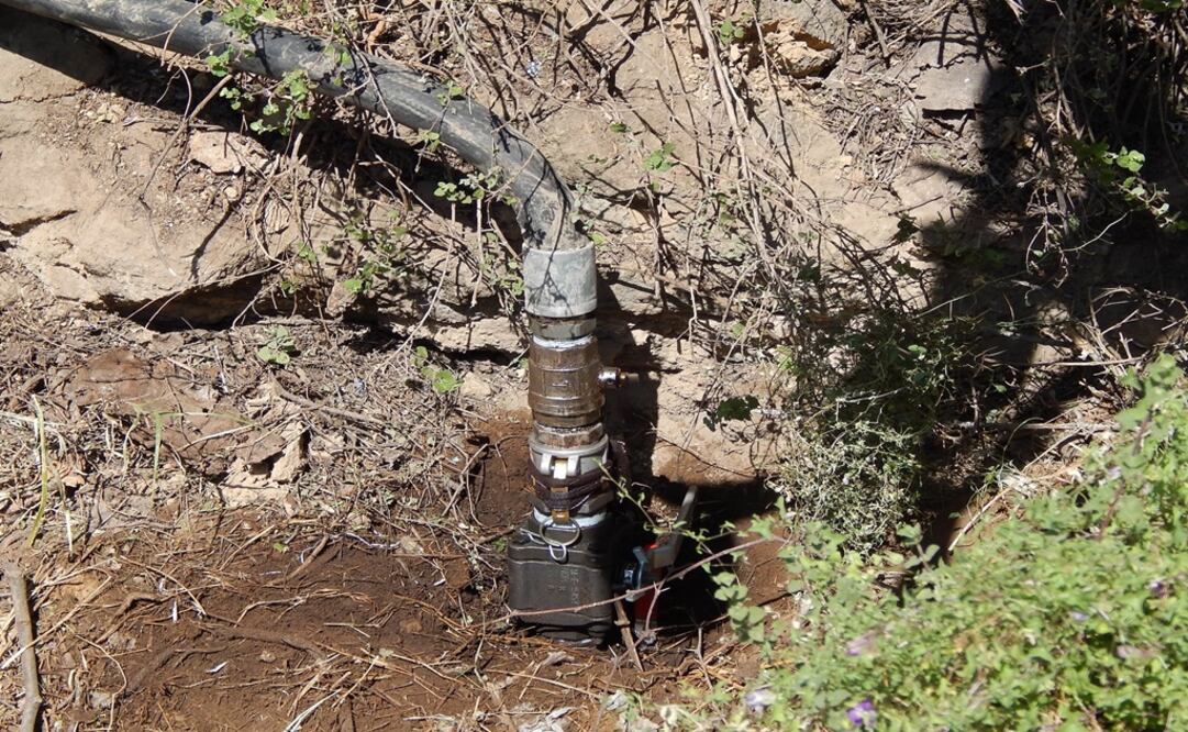 Foto: Archivo/ EL UNIVERSAL                              