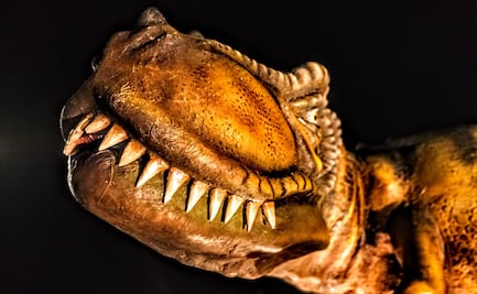 ¿Dónde está Sendero Jurásico y cuánto cuesta la entrada?