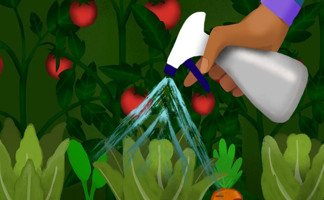 Aprende a cuidar tu huerto con bioinsumos; Sedema invita a taller práctico el 25 de julio. Foto: Especial