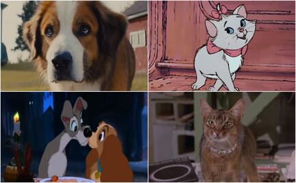 Películas de perros y gatos que alegrarán tu cuarentena