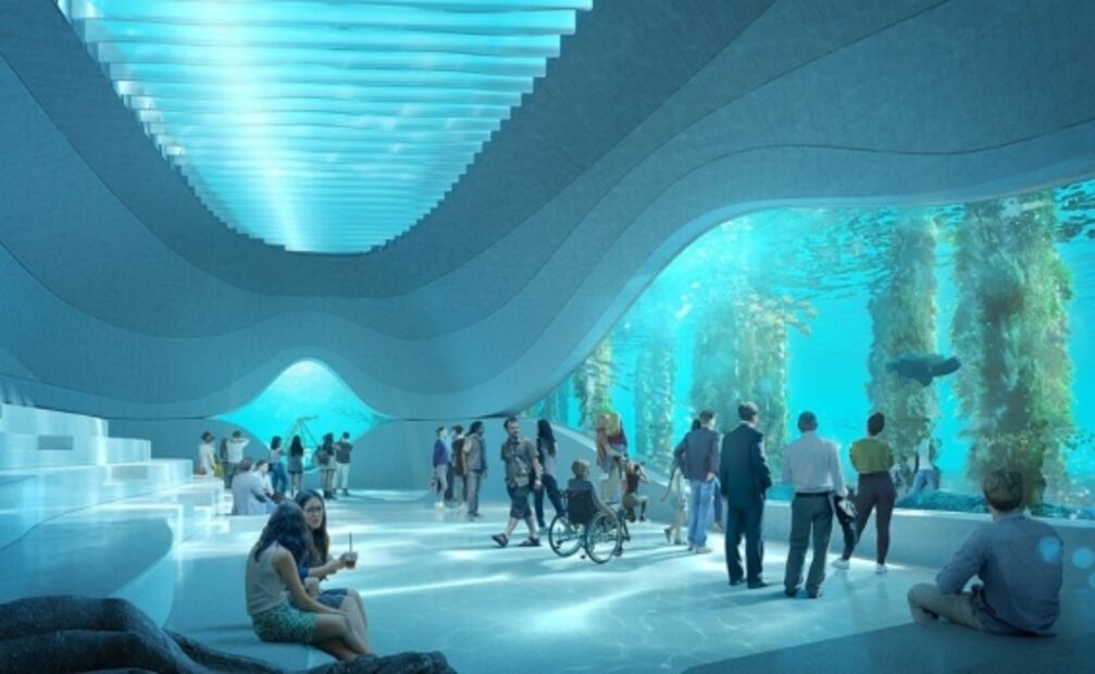 Crearán observatorio en forma de ballena para ver la vida marina