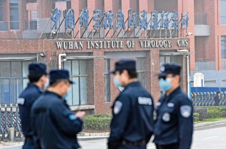 Mitos y verdades: ¿Qué sabemos del origen del SARS-CoV-2?