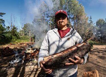 FOTOS: Detectan plaga en el bosque de Milpa Alta