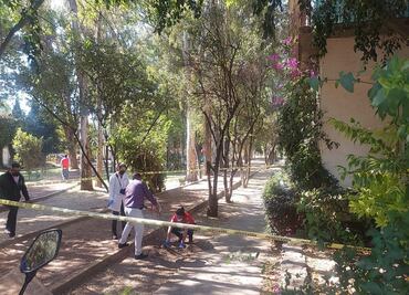 Hallan cráneo enterrado en vía pública en Tlalpan