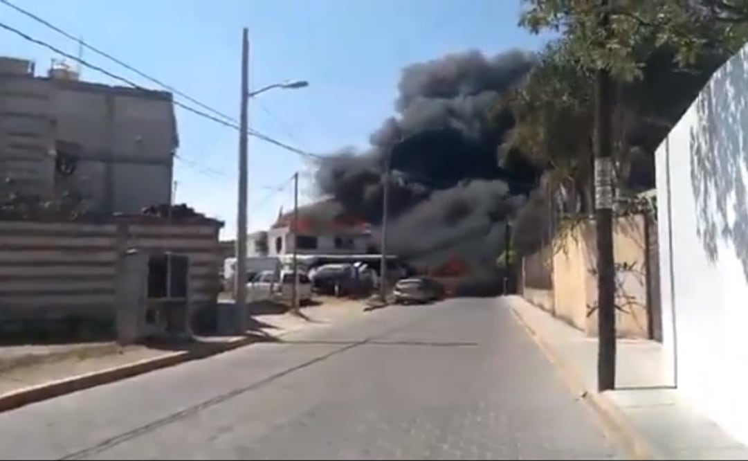 Foto: Captura tomada de video 