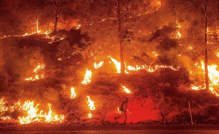 Predicen grandes incendios en bosques de EU y Europa por cambio climático