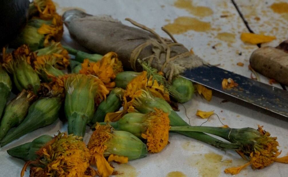 Federico Olvera prepara el "néctar de los dioses", un pulque curado de cempasúchil. Foto: Alberto González/EL UNIVERSAL