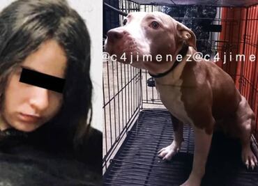 ¿Qué pasará con Luna, la pitbull de Karla, la joven que mató a su madre y a su tío?