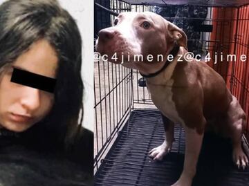 ¿Qué pasará con Luna, la pitbull de Karla, la joven que mató a su madre y a su tío?