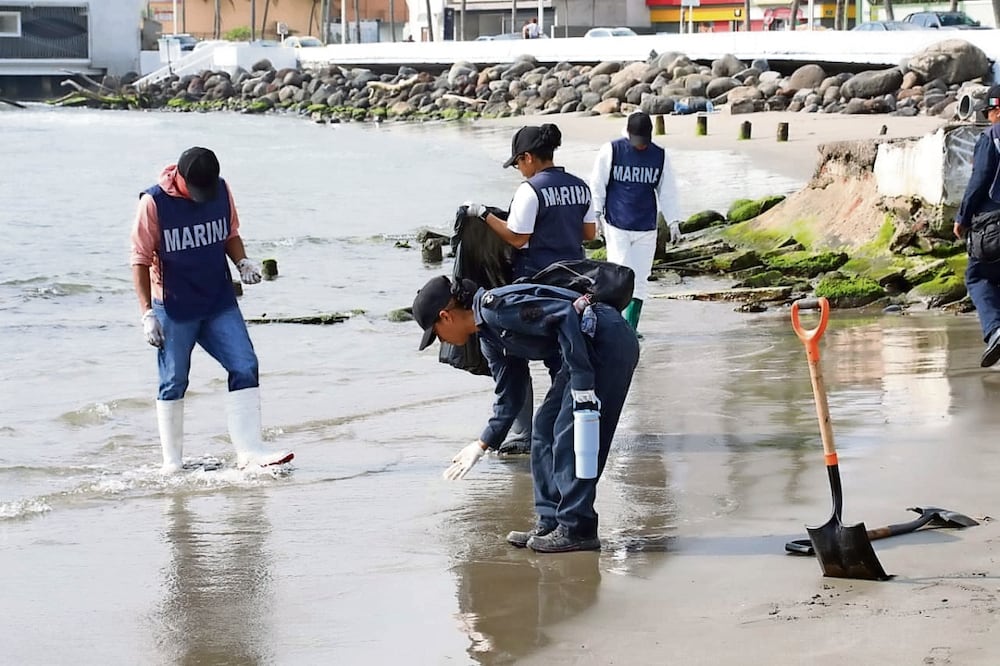 La limpieza de las playas en la zona de Veracruz-Boca del Río se mantiene activa con las brigadas de la Secretaría de Marina y otras dependencias. Foto: Especial