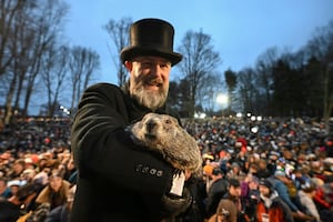 Día de la Marmota 2026; ¿qué es y por qué se celebra el 2 de febrero en EU?