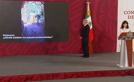 "¿Dónde estaban los pseudoambientalistas?": García Vilchis defiende al Tren Maya ante "devastación" de Xcaret