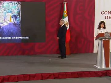 "¿Dónde estaban los pseudoambientalistas?": García Vilchis defiende al Tren Maya ante "devastación" de Xcaret