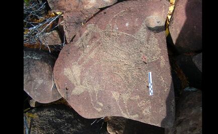 Hallan petrograbados con más de 300 años en Baja California Sur