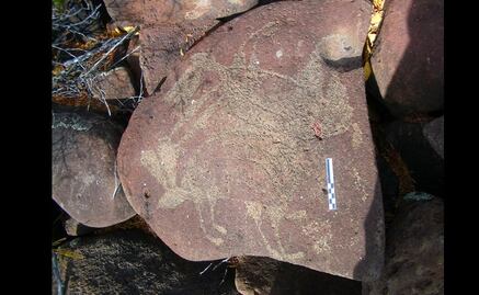 Hallan petrograbados con más de 300 años en Baja California Sur