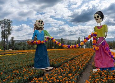 En Xochimilco, visita el Valle de Catrinas
