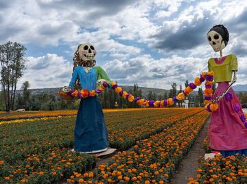 En Xochimilco, visita el Valle de Catrinas