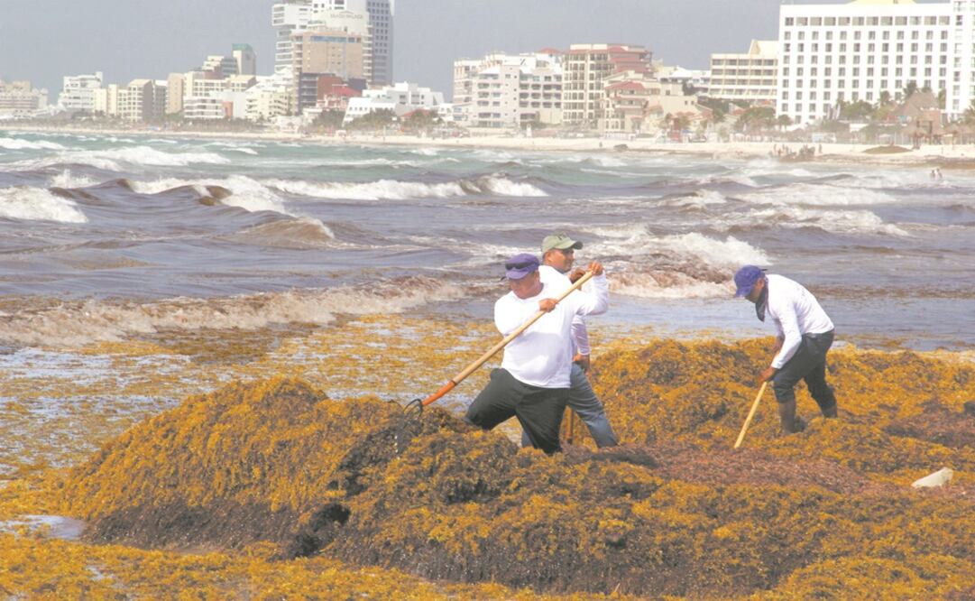 Foto: Archivo/EL UNIVERSAL