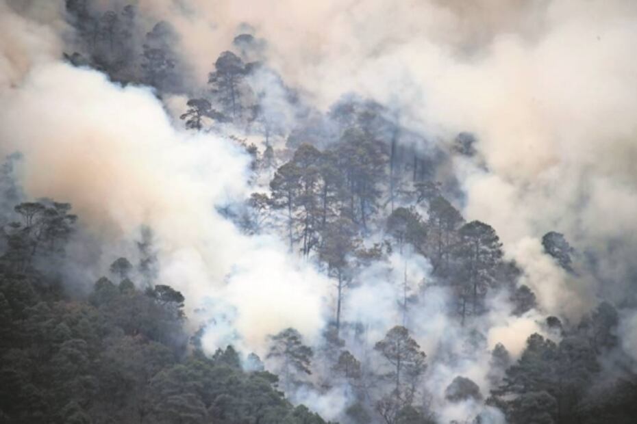 Cuando la voluntad sopla más fuerte que el fuego