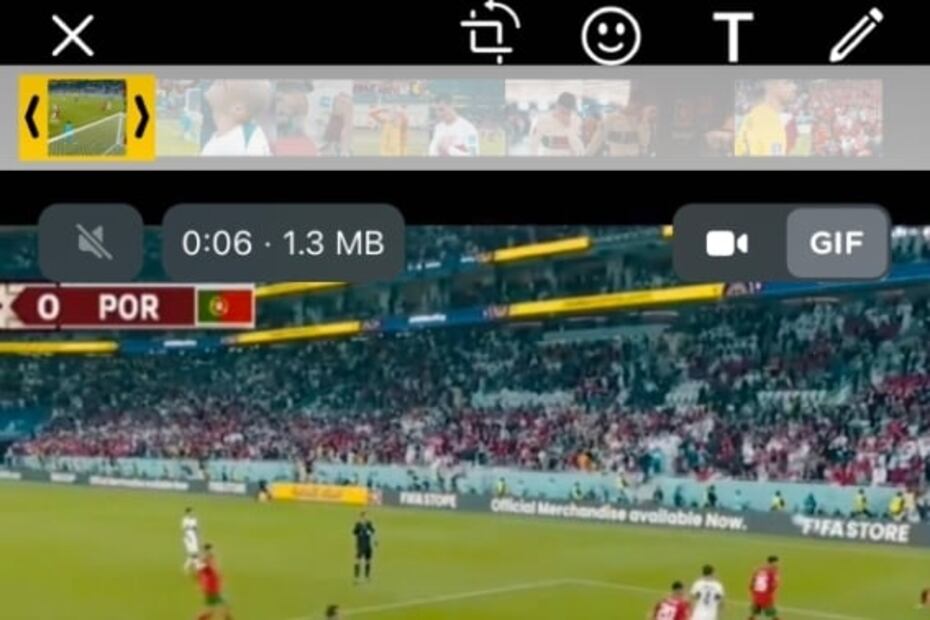 Cómo crear GIFs para WhatsApp